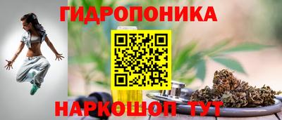 мет Можга
